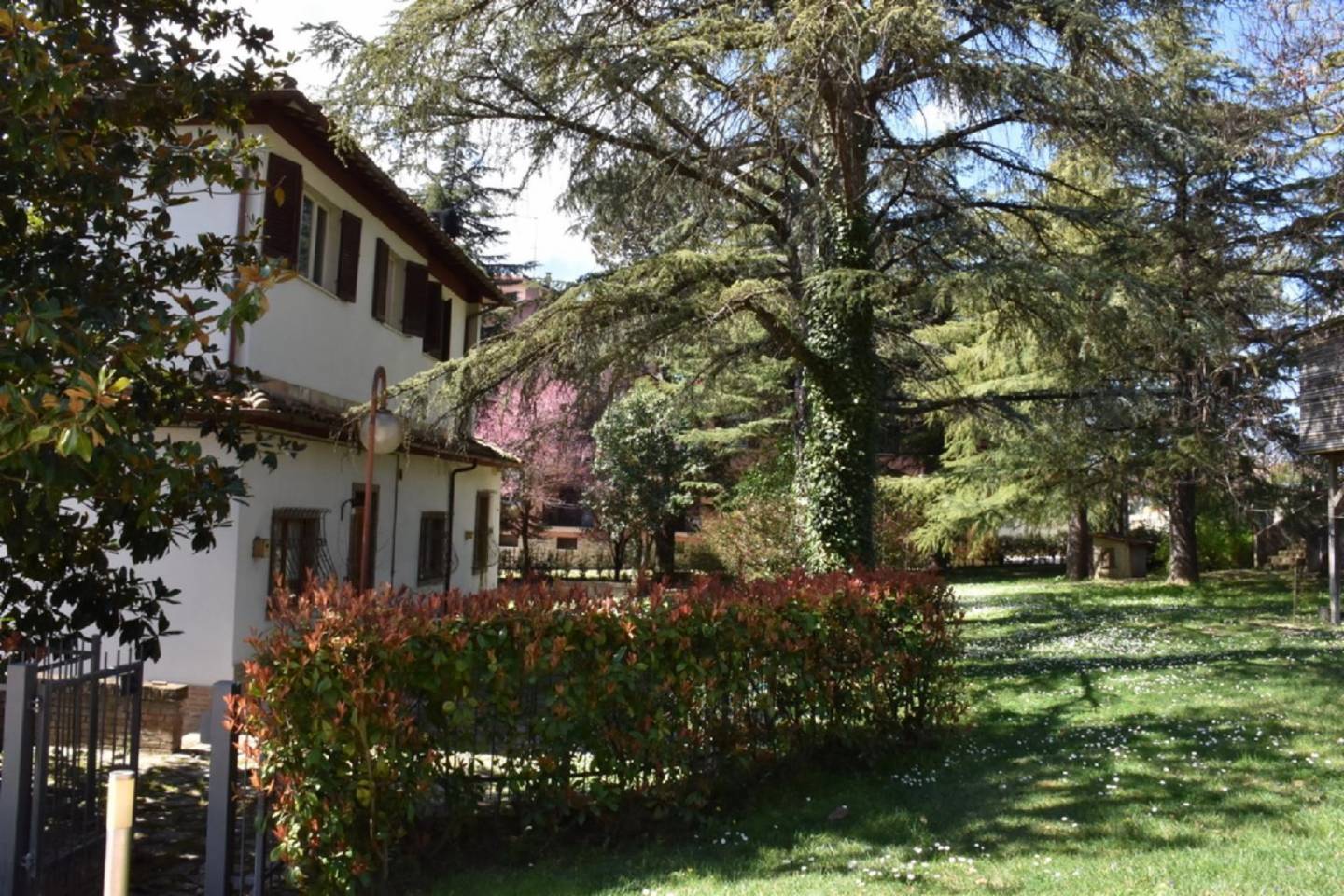 immagine annuncio 4 di 6
