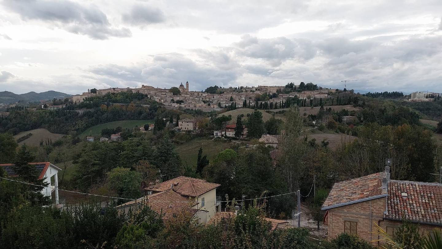 immagine annuncio 6 di 7