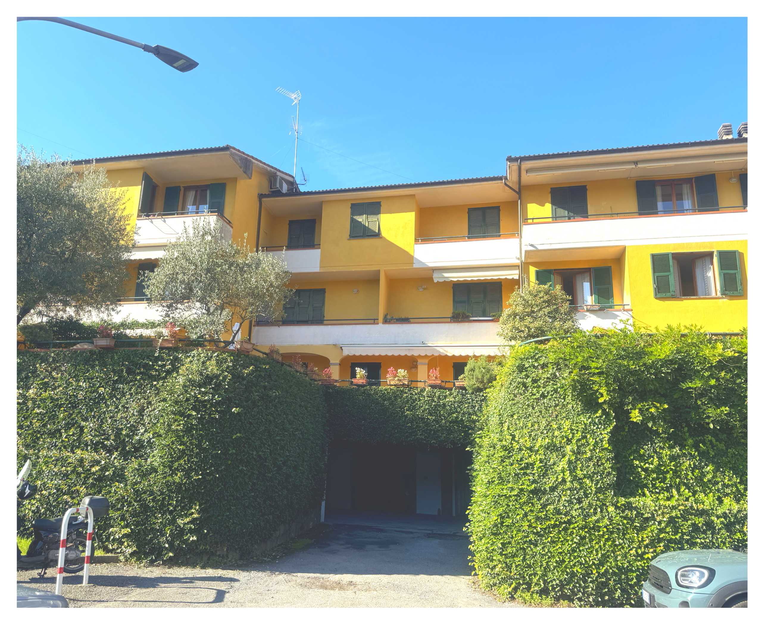 immagine annuncio 2 di 11