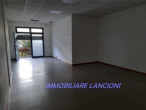  - foto 13
