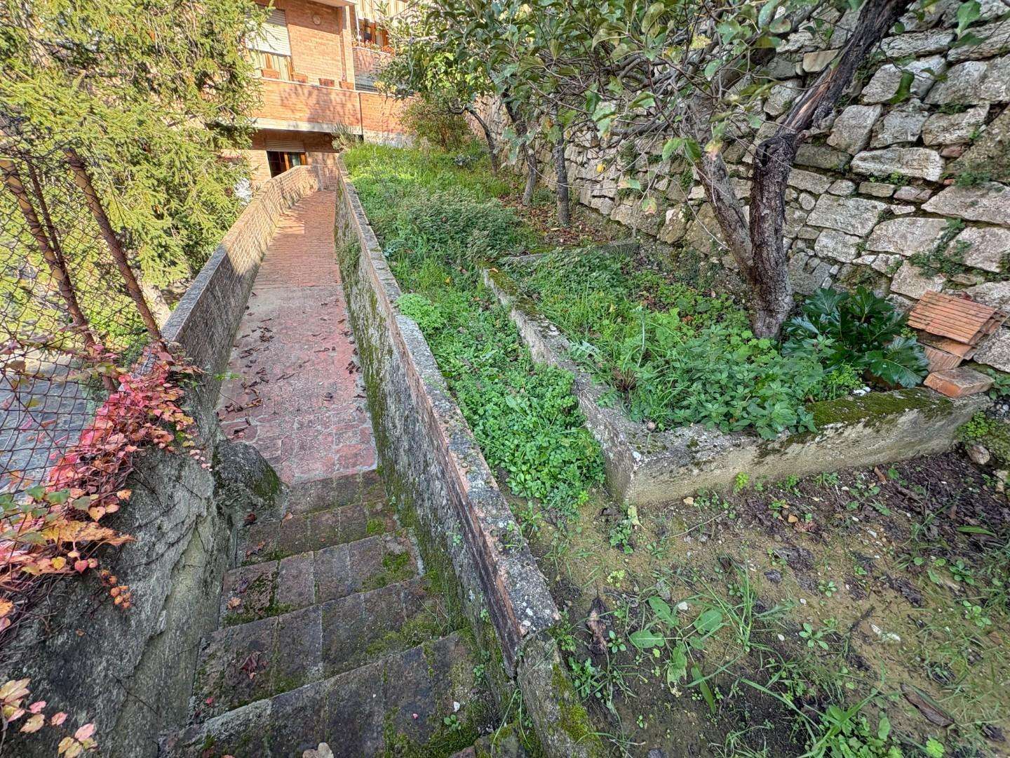 - foto 14