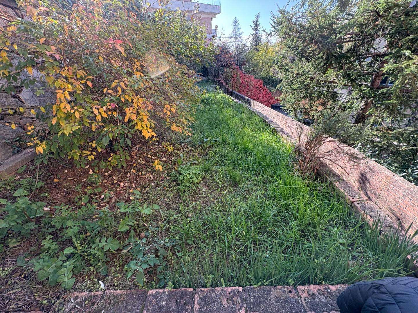  - foto 15