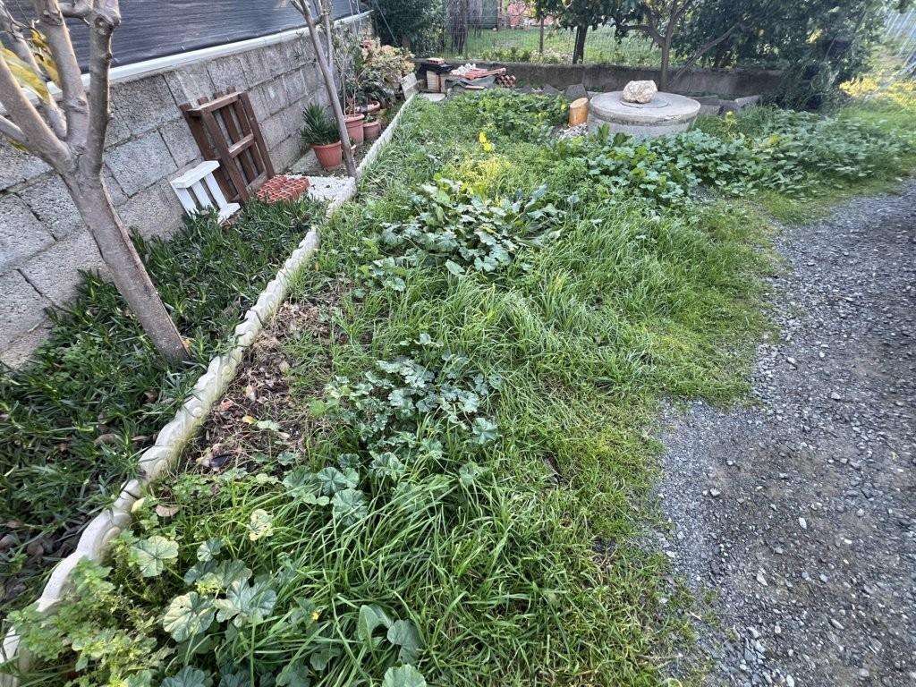  - foto 21