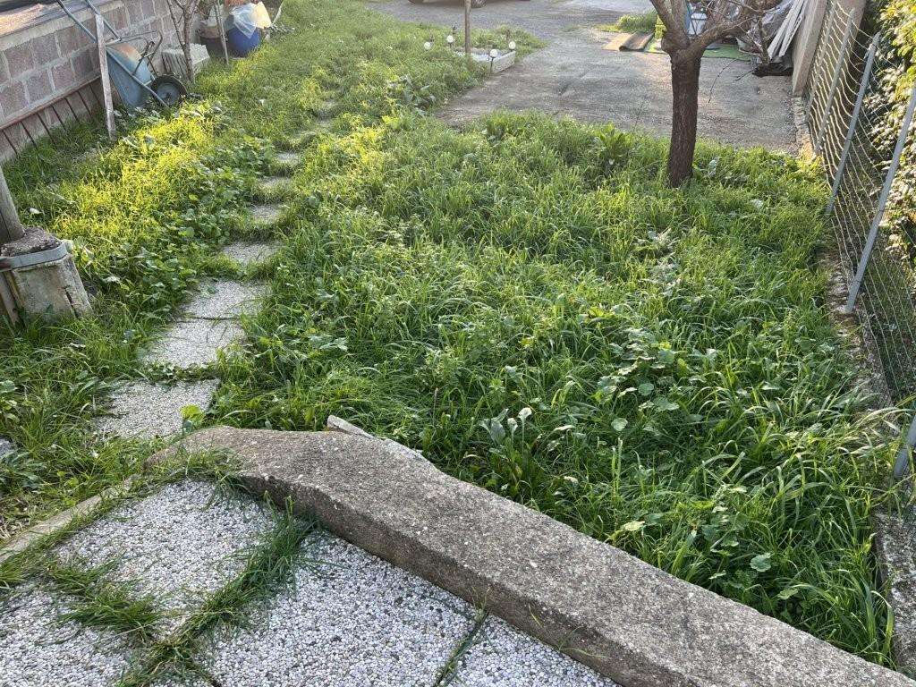  - foto 22