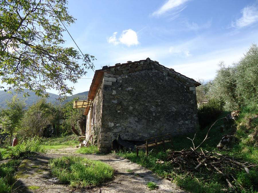 immagine annuncio 4 di 6