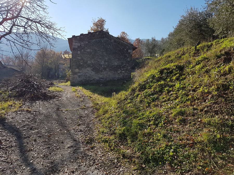 immagine annuncio 5 di 6