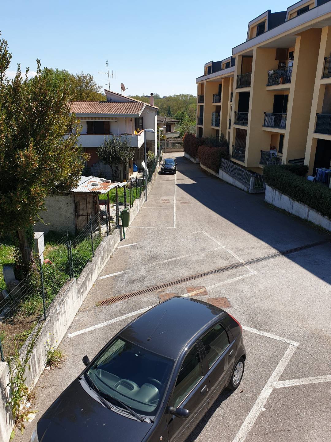 immagine annuncio 7 di 10