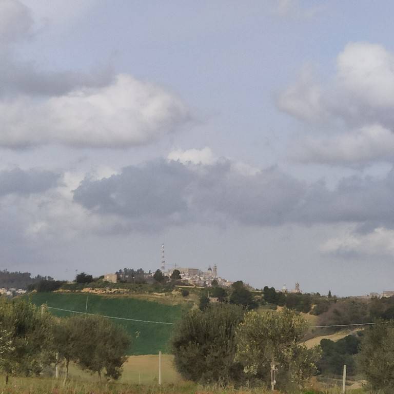 immagine annuncio 5 di 8