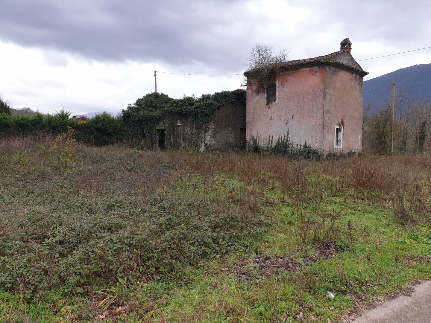 immagine annuncio 2 di 3