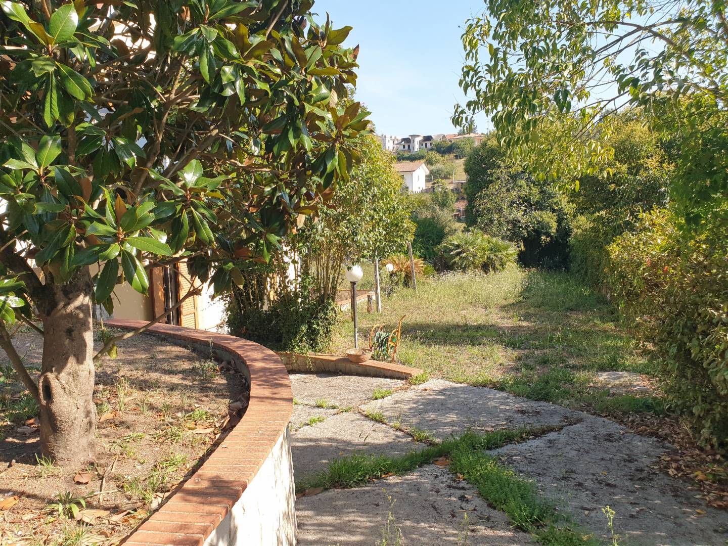 immagine annuncio 6 di 10