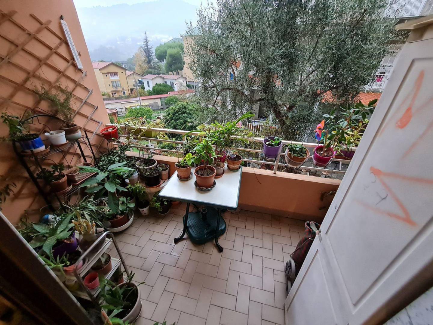 immagine annuncio 4 di 9