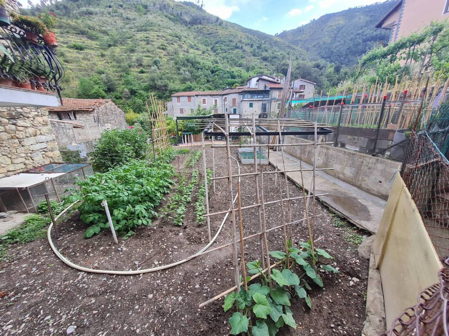 immagine annuncio 6 di 10