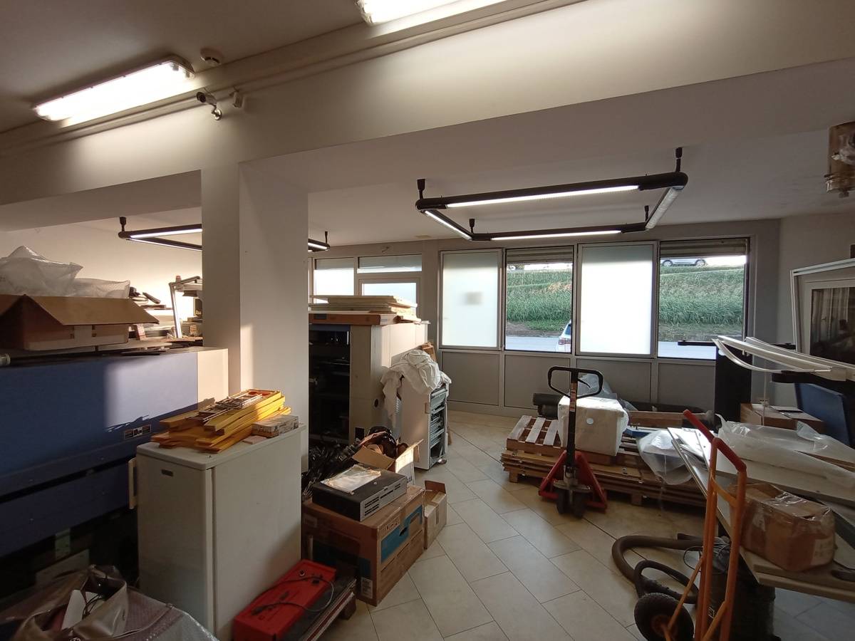 immagine annuncio 2 di 10