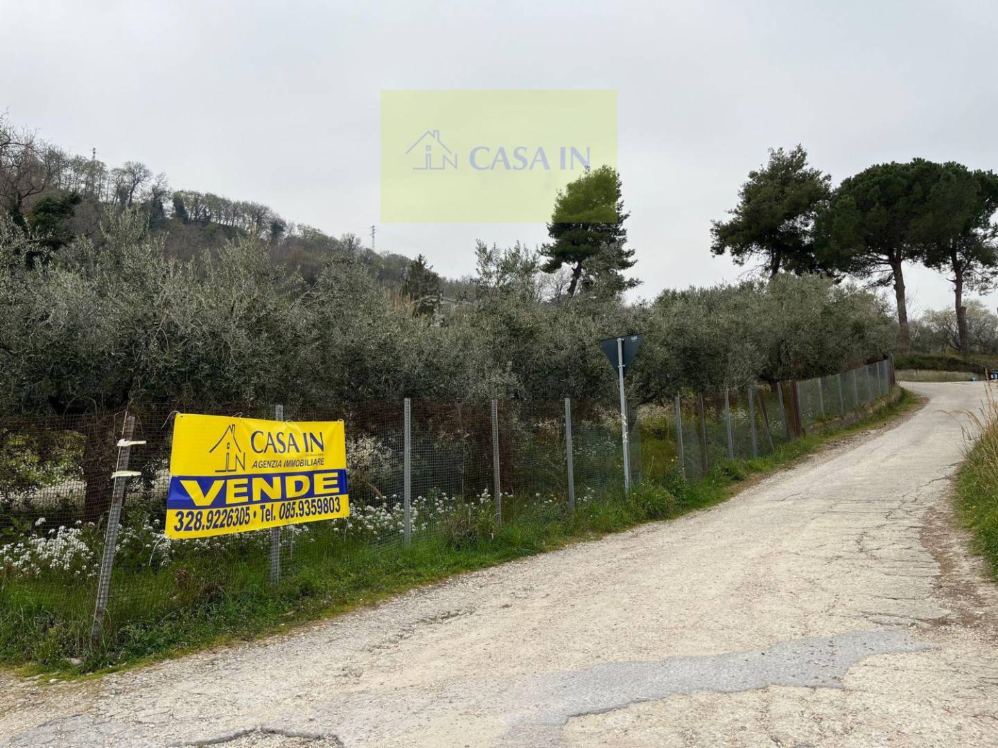 immagine annuncio 2 di 10