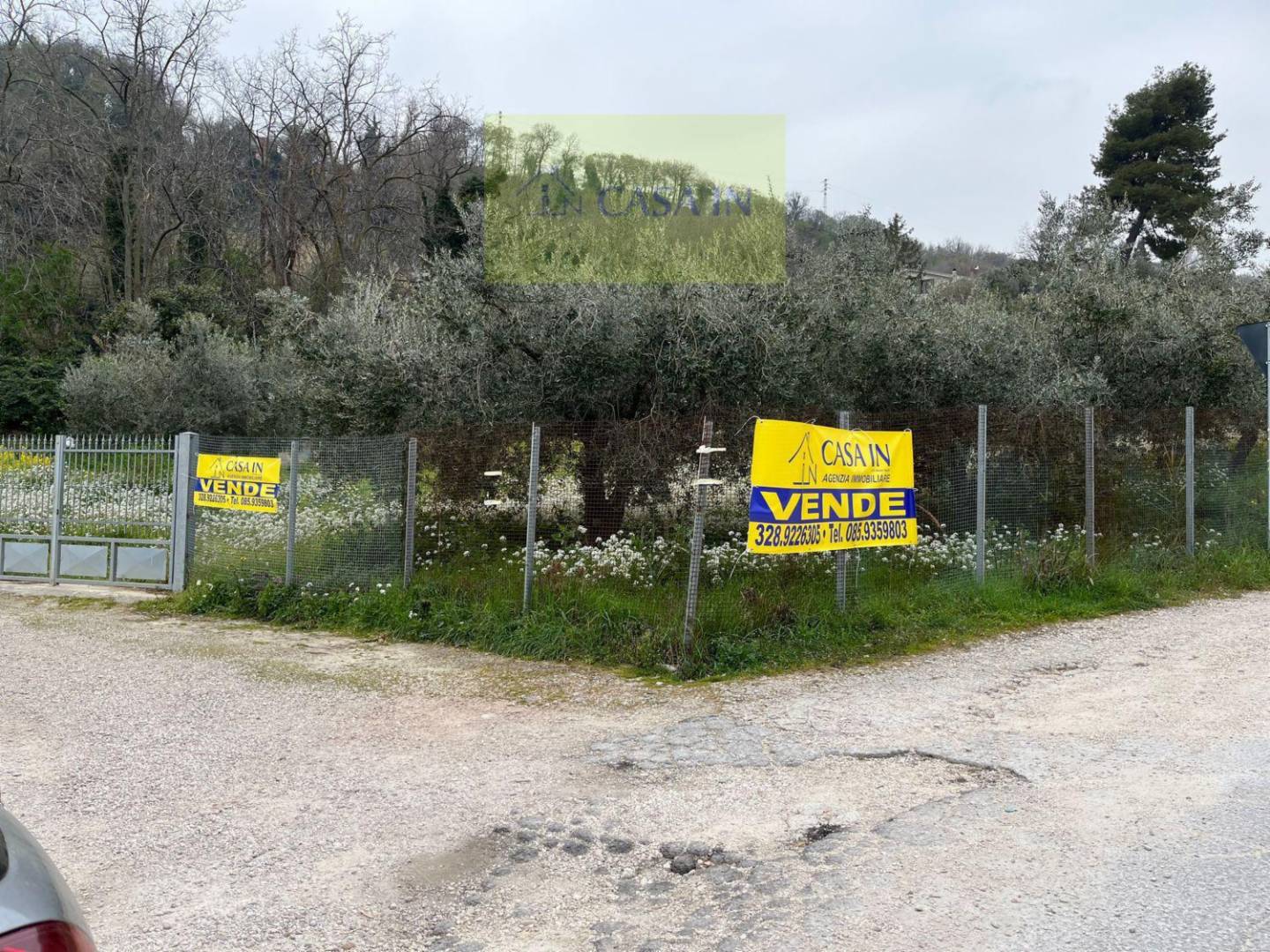 immagine annuncio 4 di 10