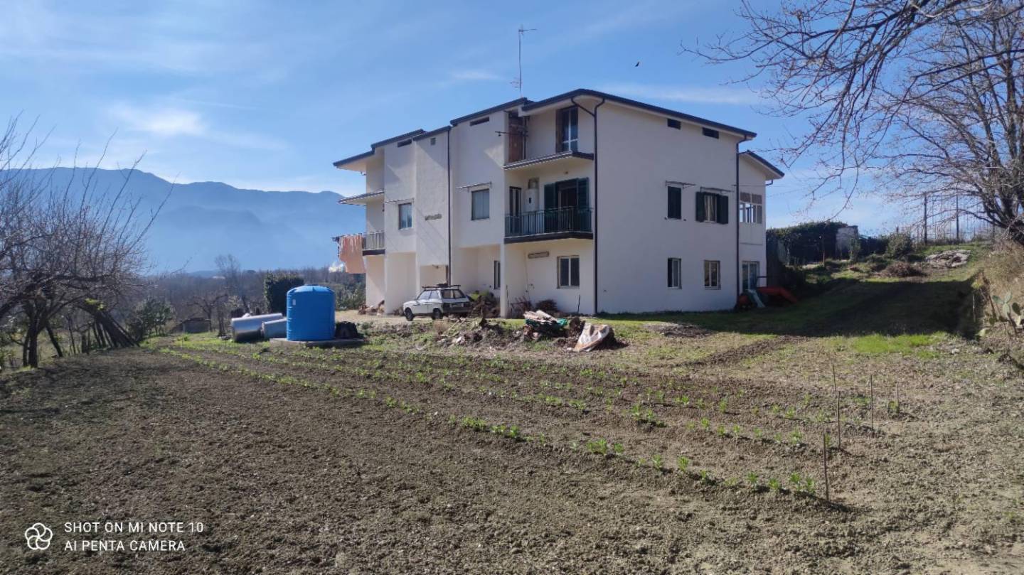 immagine annuncio 5 di 10