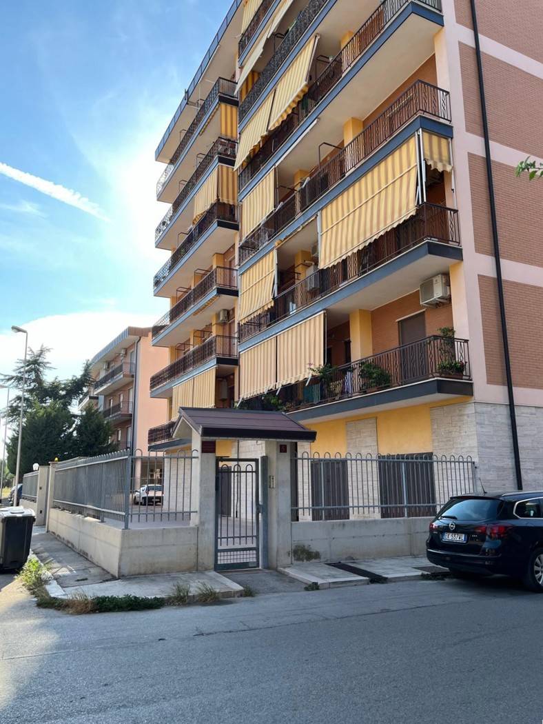 immagine annuncio 3 di 10