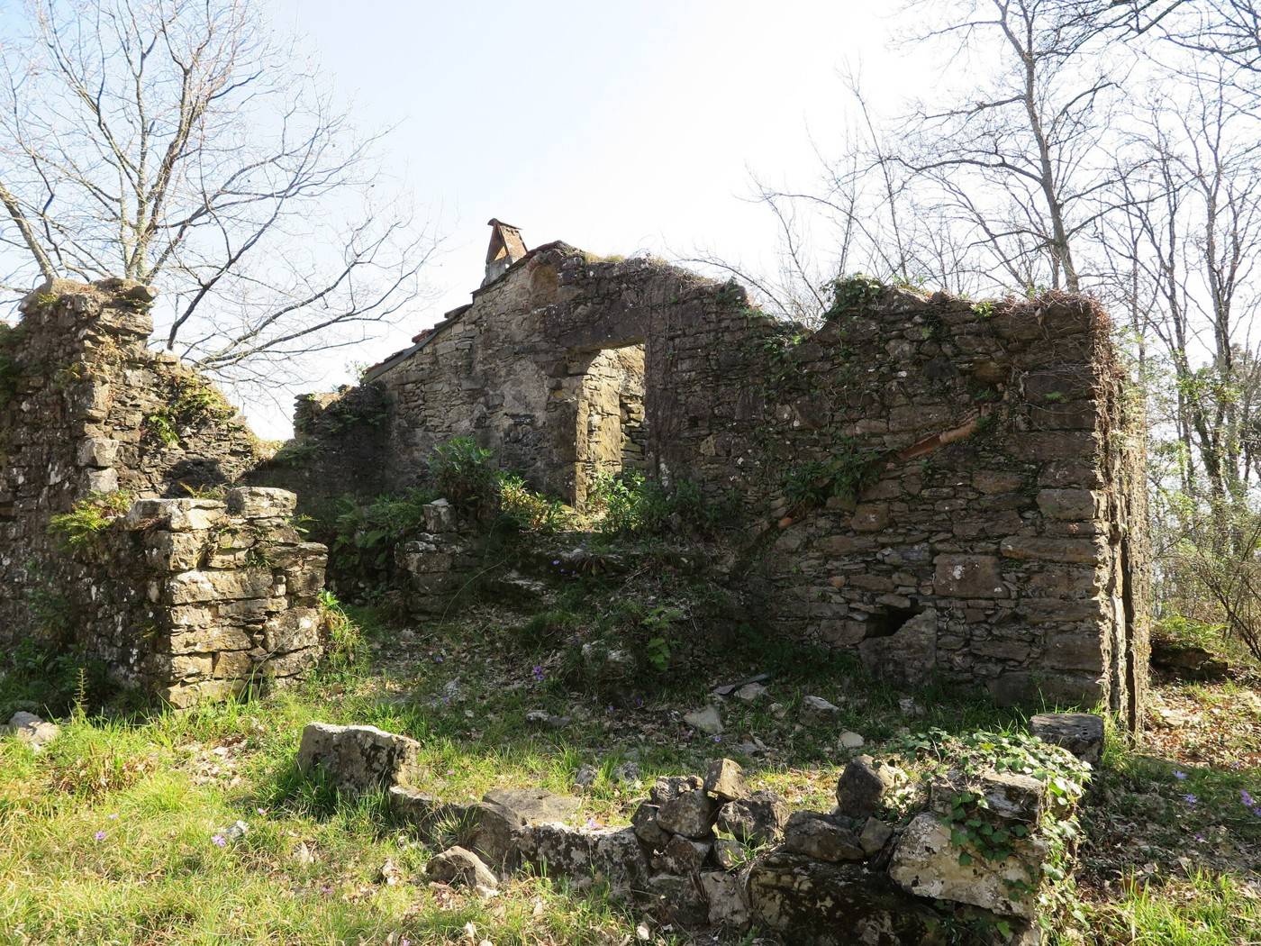immagine annuncio 7 di 10