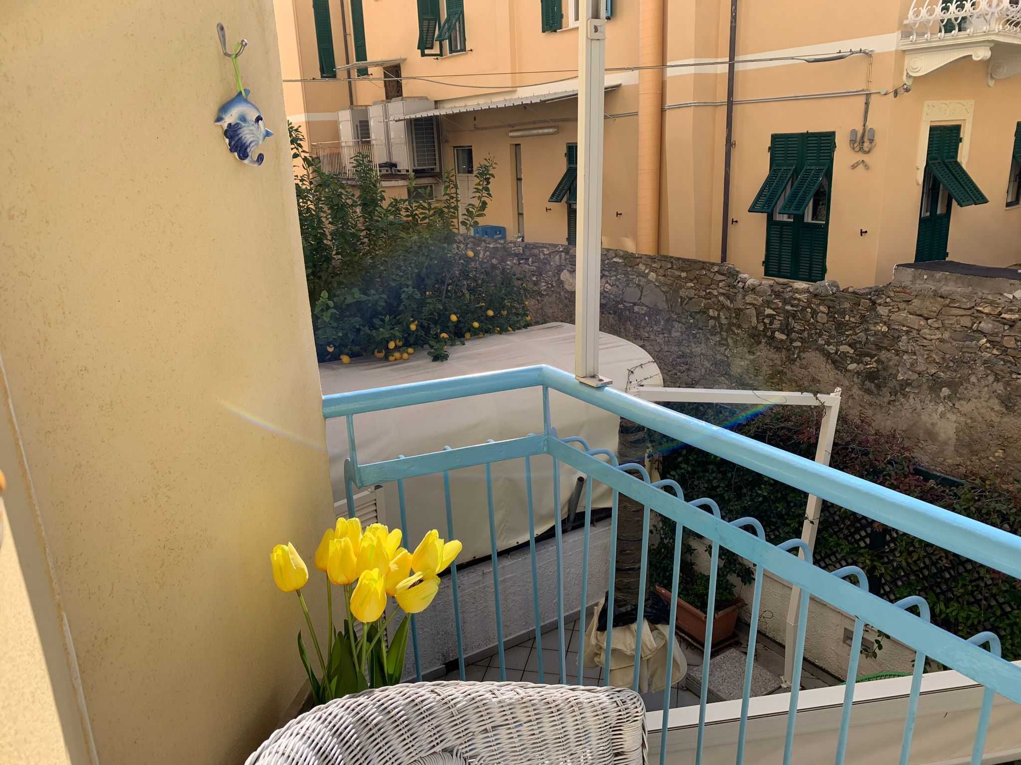 immagine annuncio 6 di 14