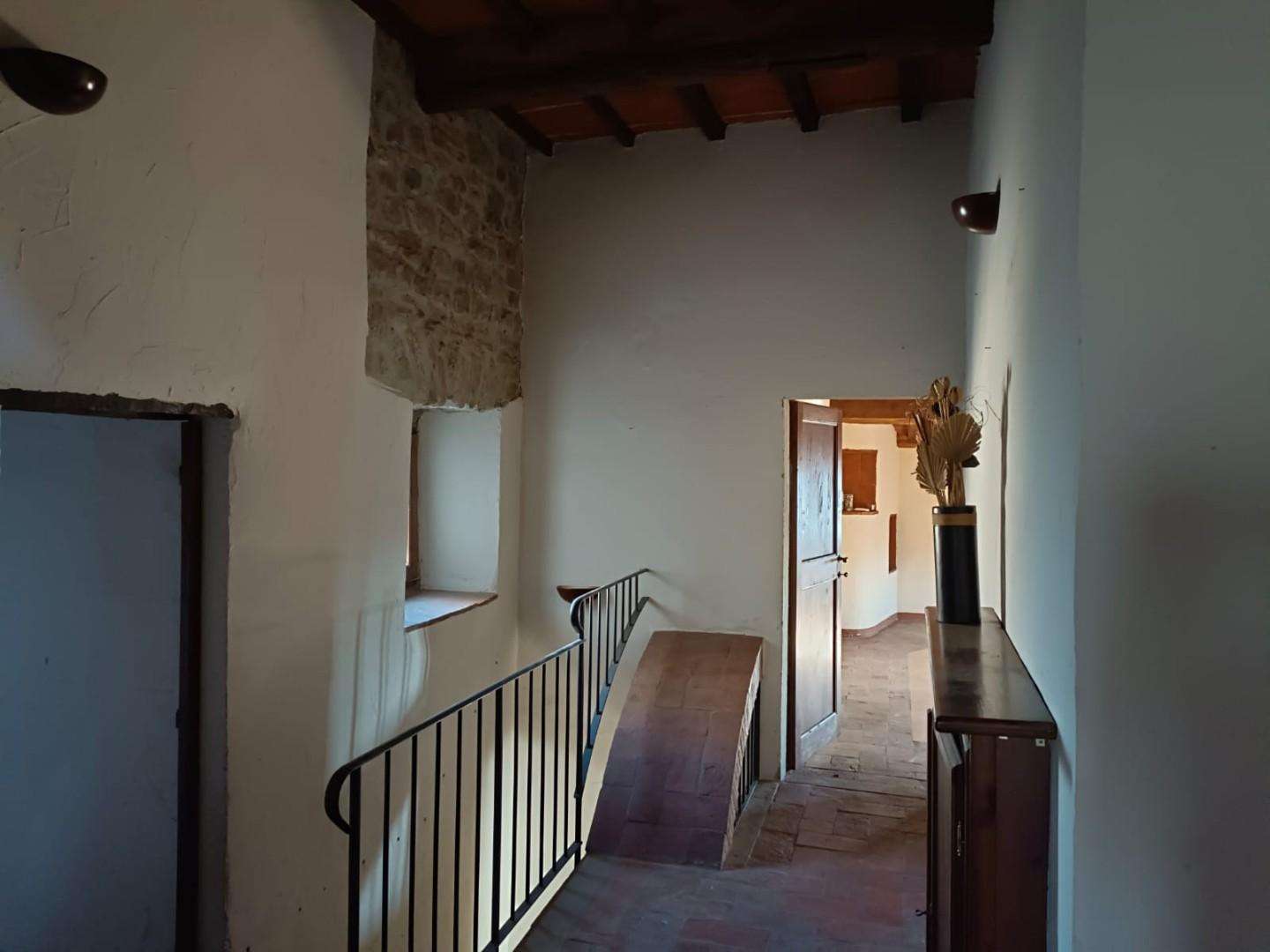  - foto 11
