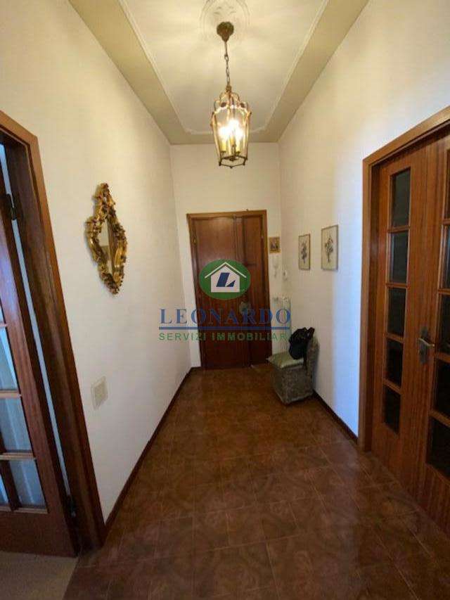  - foto 22