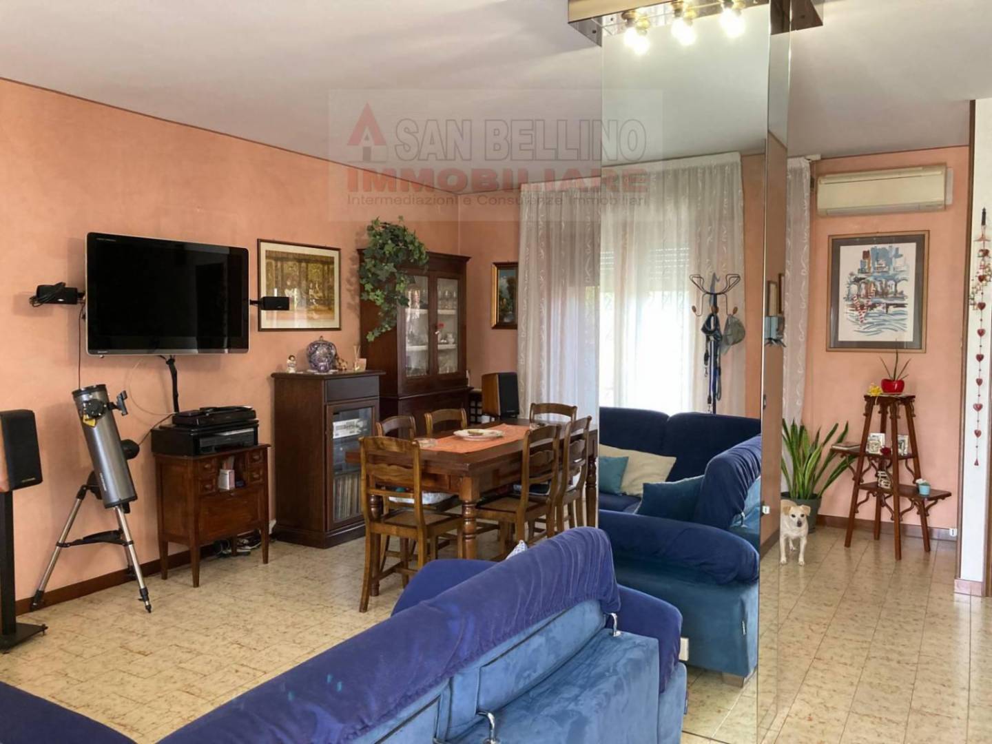 immagine annuncio 6 di 10