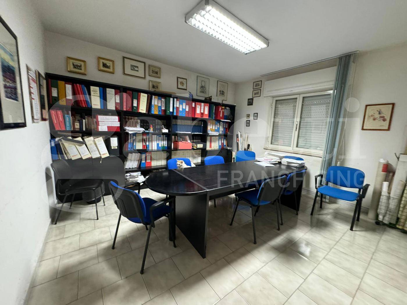 immagine annuncio 3 di 9