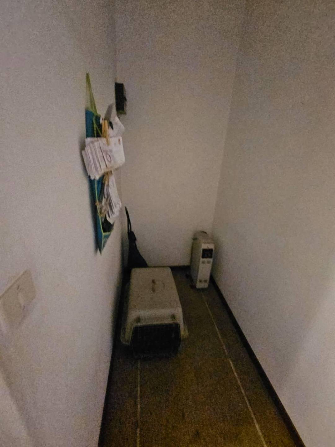 immagine annuncio 5 di 9