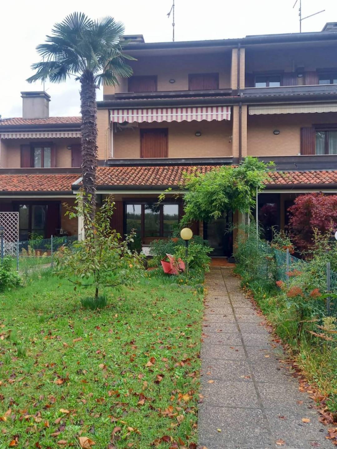 immagine annuncio 2 di 10