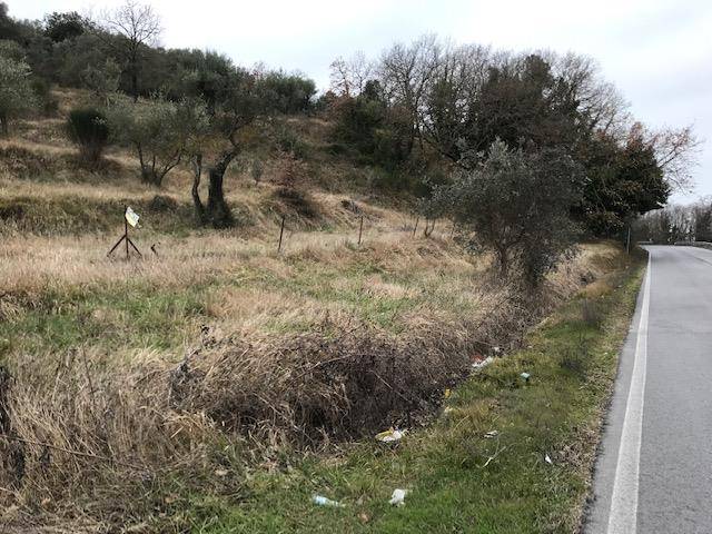 immagine annuncio 3 di 6