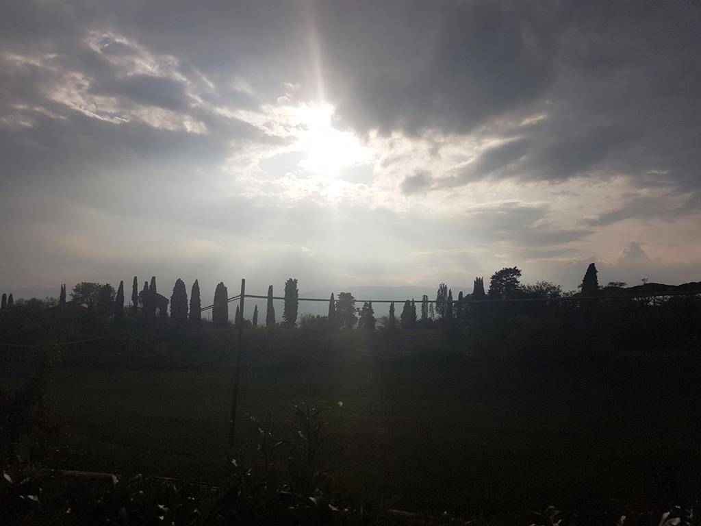 appartamento in vendita a Sovicille in zona San Rocco a Pilli