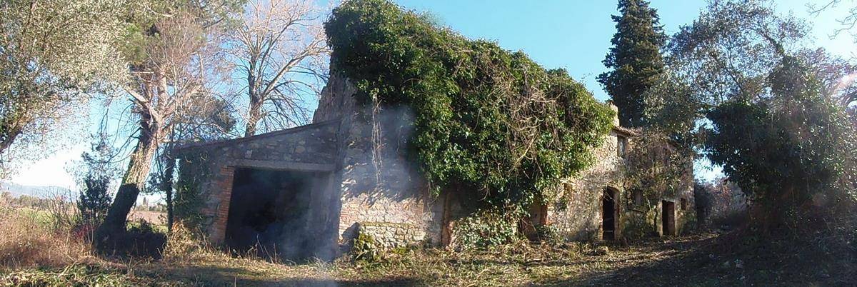 immagine annuncio 4 di 9