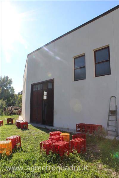 immagine annuncio 1 di 4