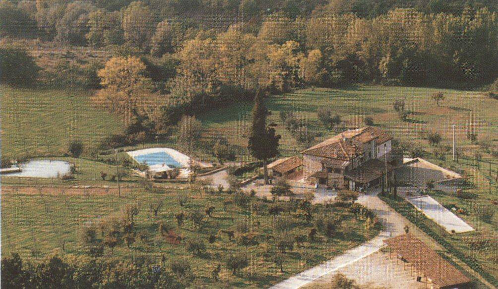 immagine annuncio 8 di 9