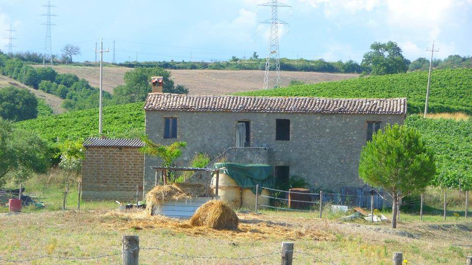 immagine annuncio 3 di 8