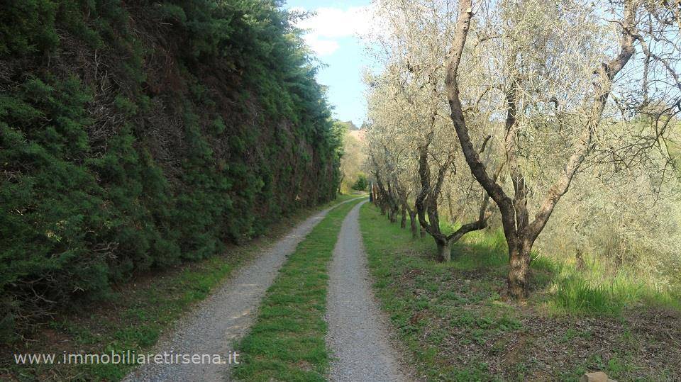 immagine annuncio 7 di 9