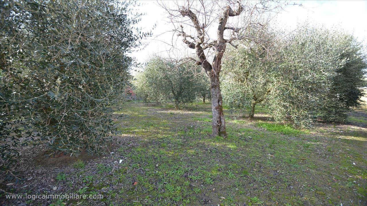 immagine annuncio 5 di 9