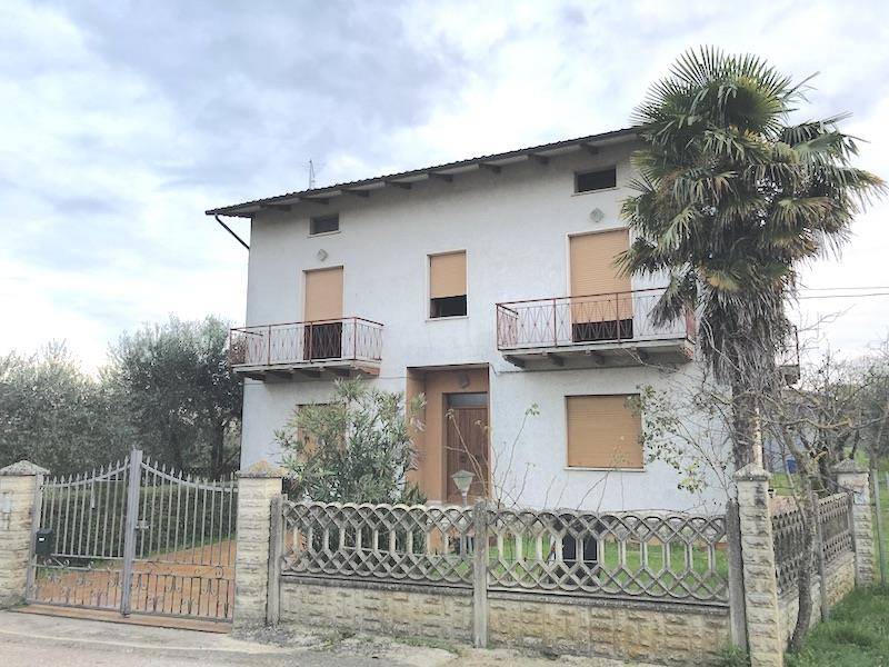 immagine annuncio 1 di 9