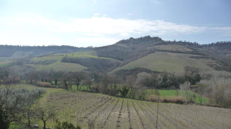 immagine annuncio 1 di 9