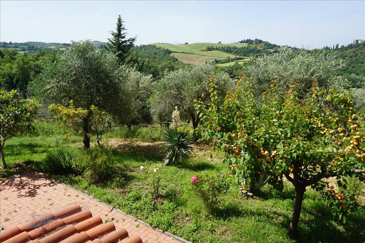 immagine annuncio 4 di 9