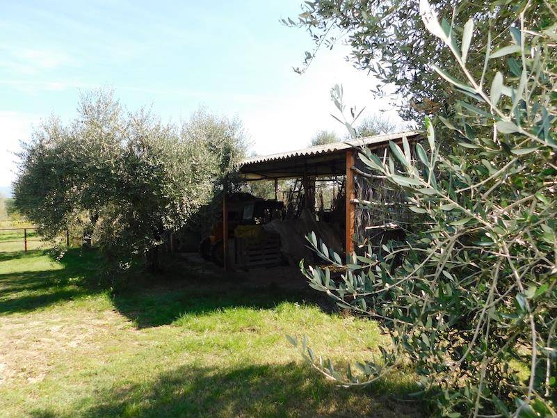 immagine annuncio 8 di 9
