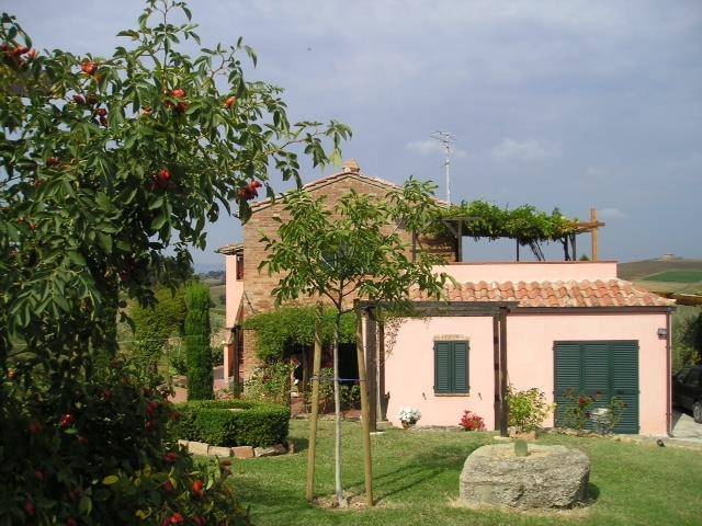 immagine annuncio 3 di 9