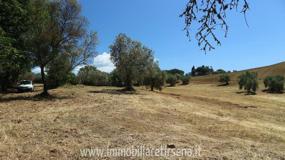 immagine annuncio 6 di 9