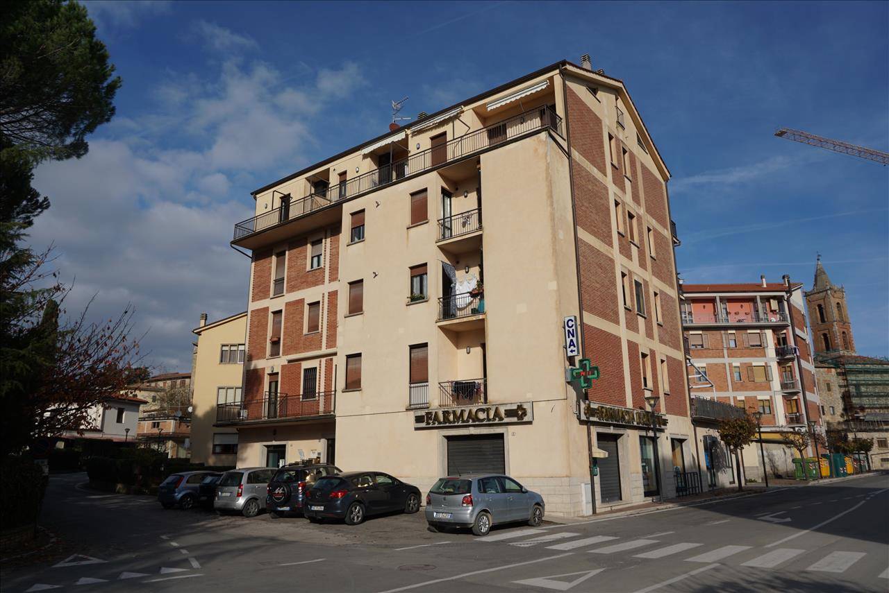 immagine annuncio 2 di 9