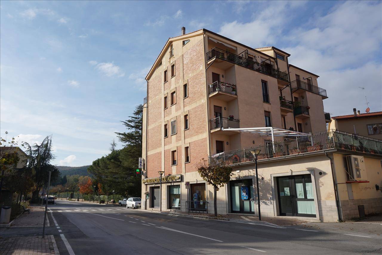 immagine annuncio 4 di 9