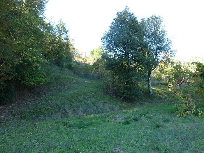 immagine annuncio 6 di 9