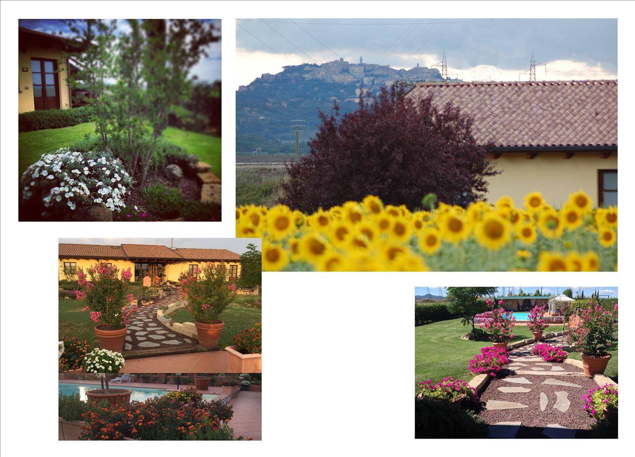 immagine annuncio 3 di 9