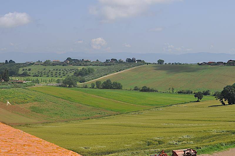 immagine annuncio 5 di 9