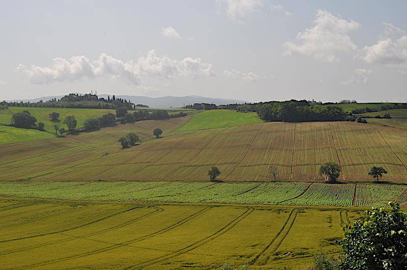immagine annuncio 6 di 9