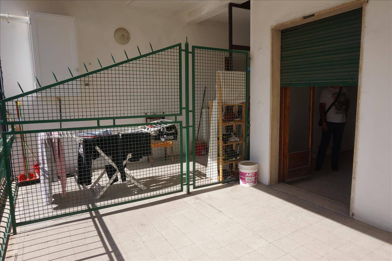immagine annuncio 2 di 9